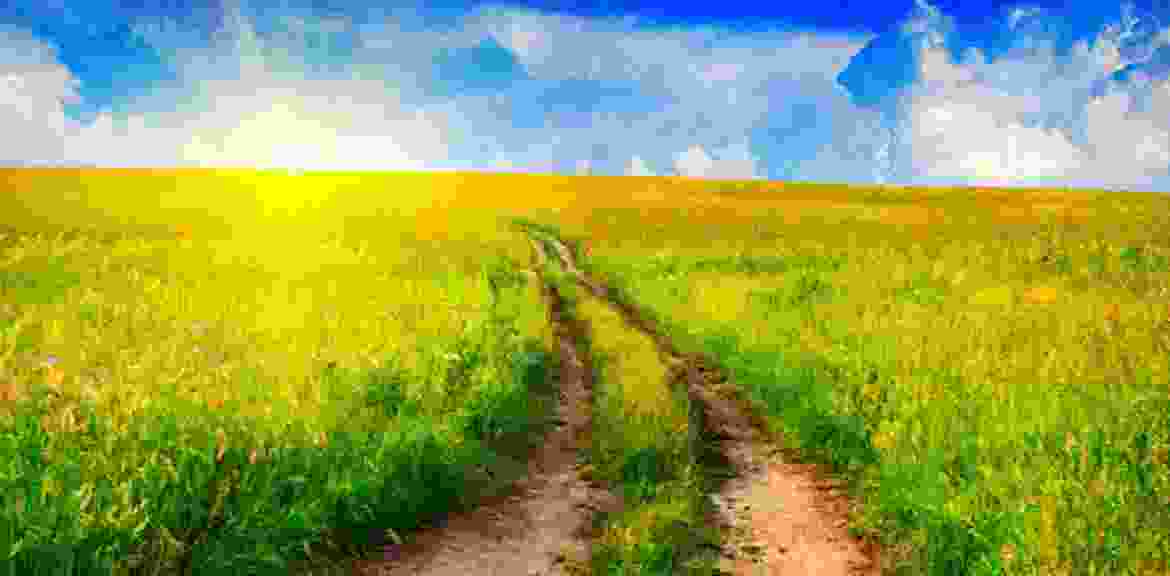 blog-img12 blog-img12